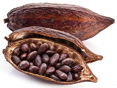 cacao